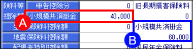 20241008_源泉徴収簿に表示される小規模共済掛金の項目2つの違い_001.png