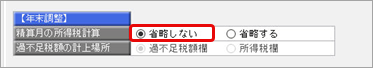 支給明細書の過不足税額の計上方法_002_所得税計算が省略しないの場合.png